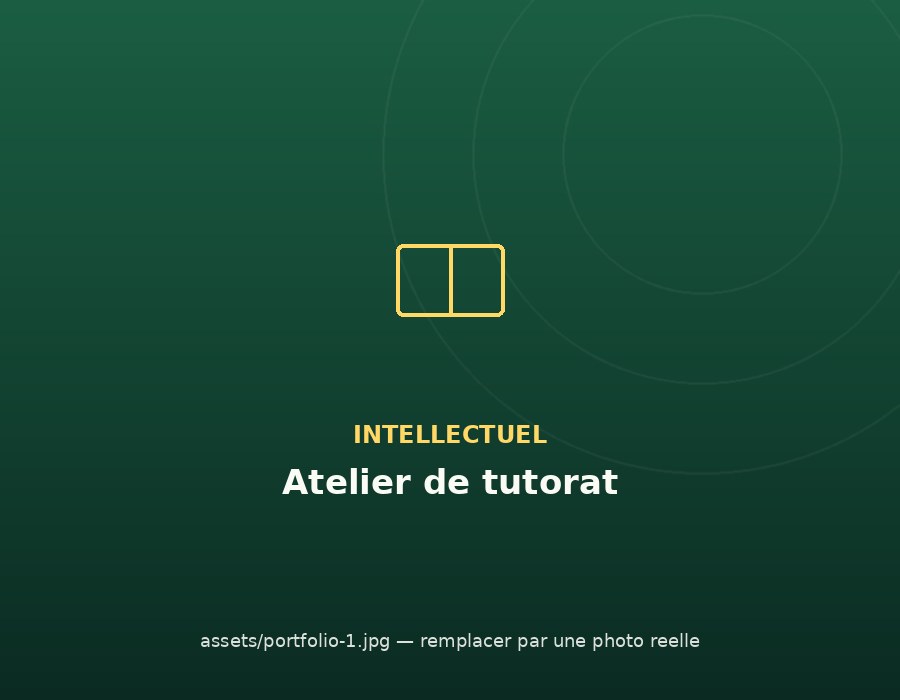 Programme de tutorat intellectuel